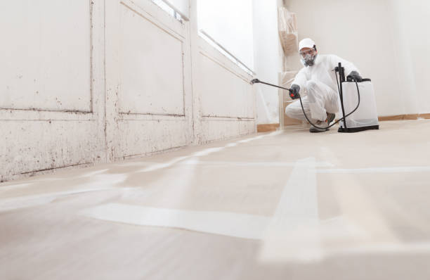 24/7 Emergency Mold Remediation experts in Trenton, MI